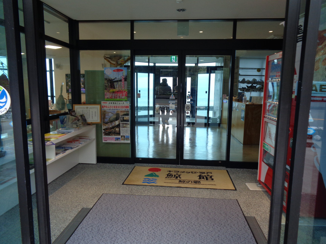 Whale Museum-室户市必去景点