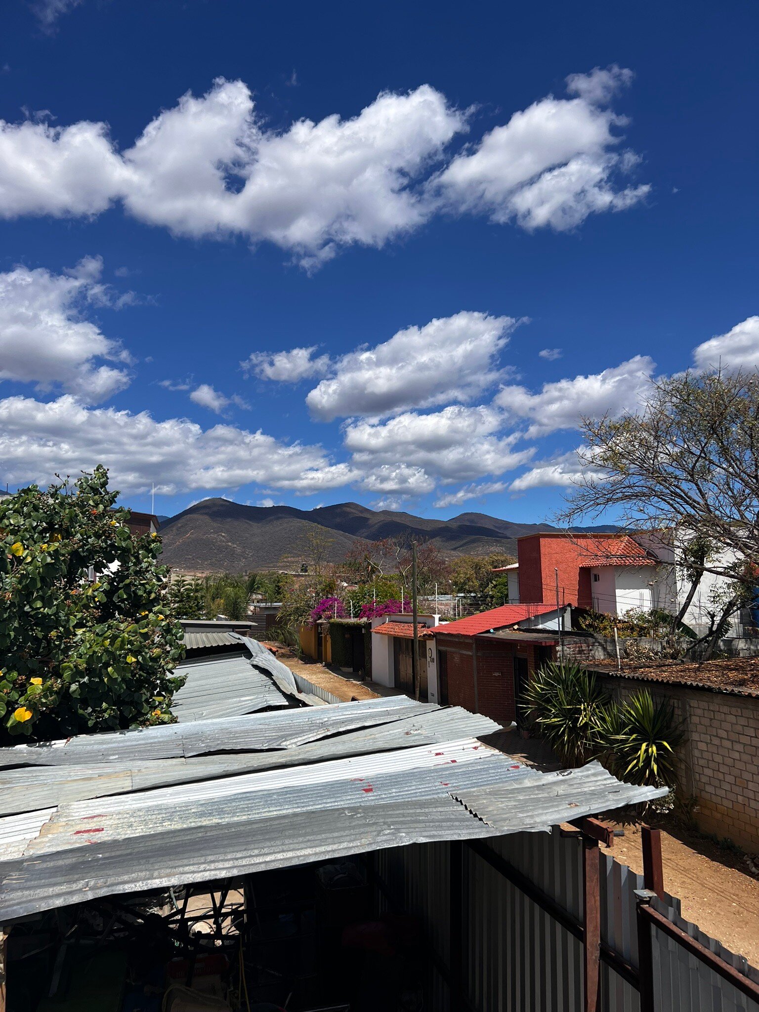 Casa Adobe B&B-官方