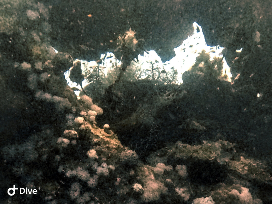 Extra Divers Sharm El Naga-Safaga必去景点