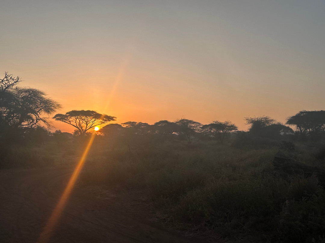 Jjc Adventure Kenya景点图片