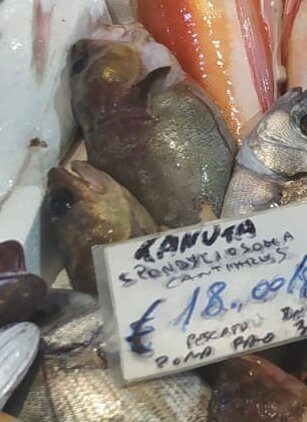 Mercato del Pesce景点图片
