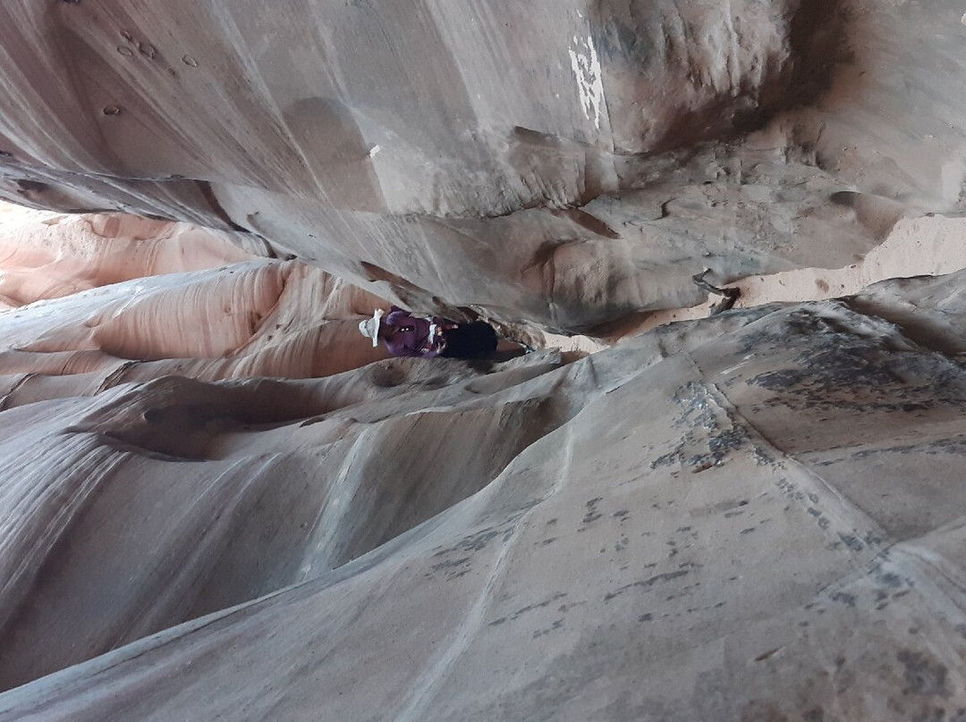 Zebra Slot Canyon景点图片