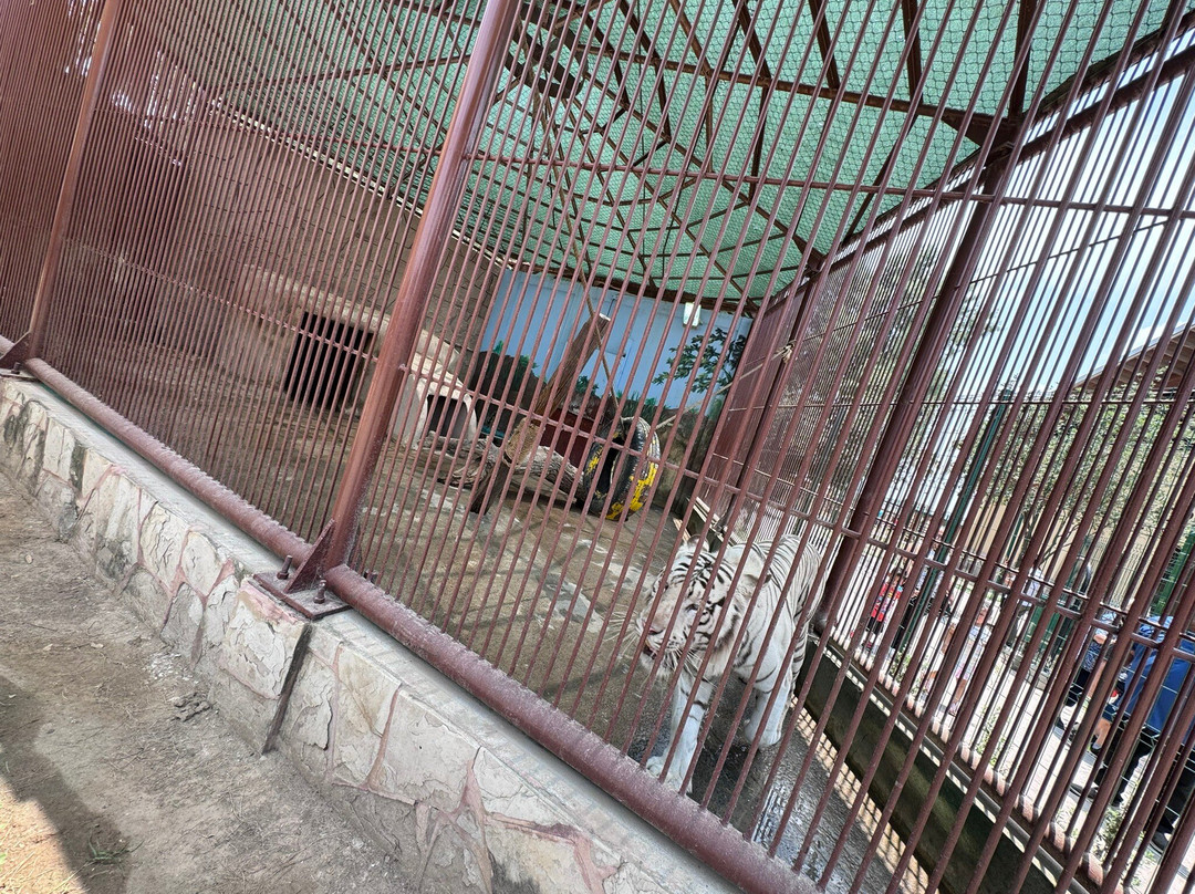 Zoologico de Nuevo Laredo景点图片