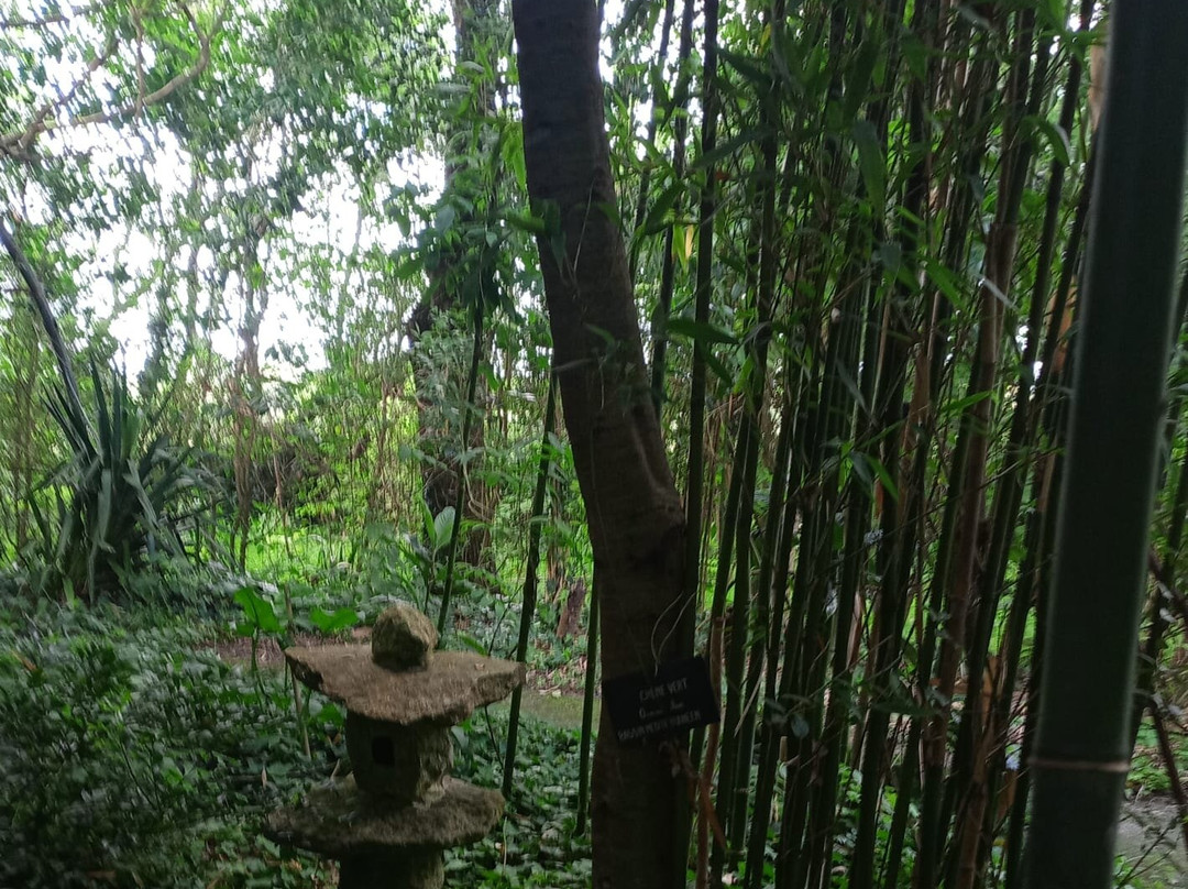Tropicarium Bonsaï景点图片