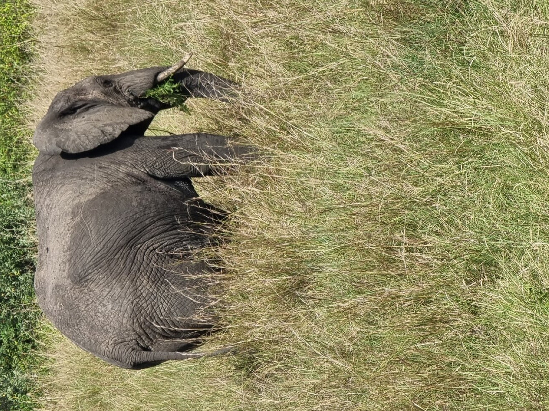 Kairi Tours and Safaris-内罗毕必去景点