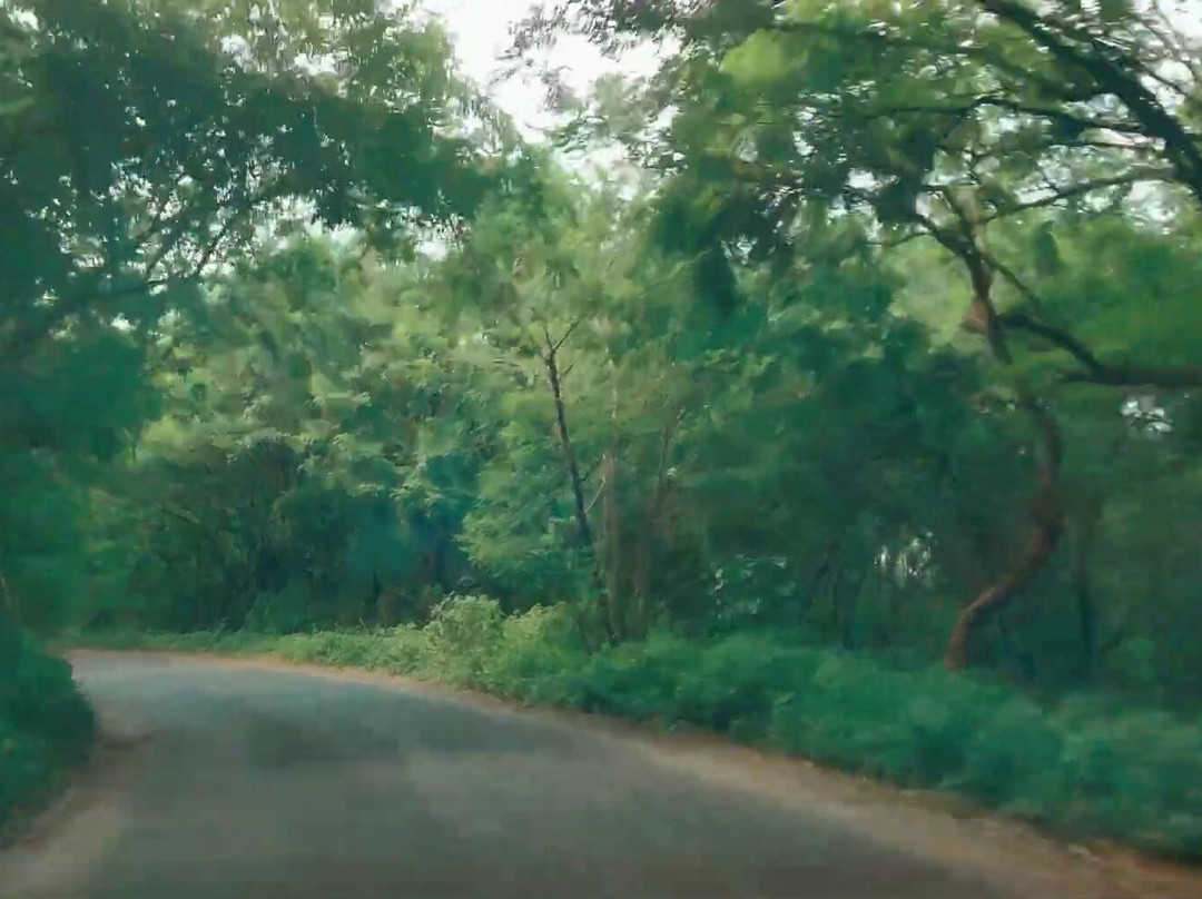 Pavana Lake景点图片