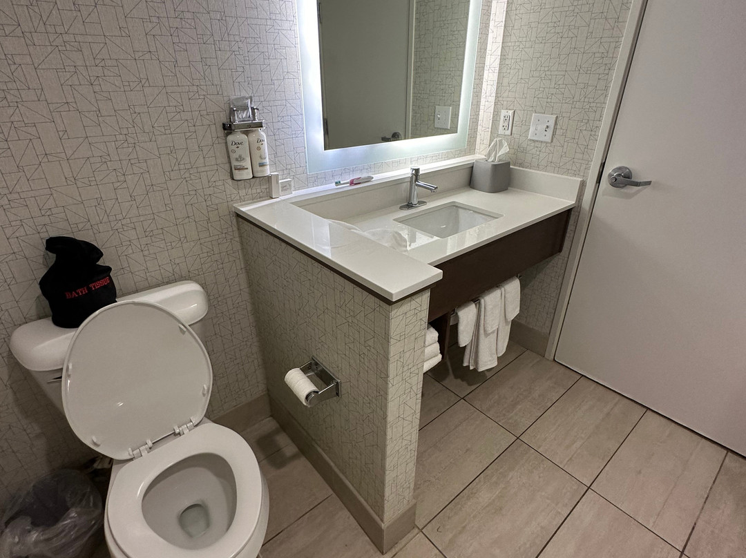 Holiday Inn Express & Suites Ithaca By IHG主图