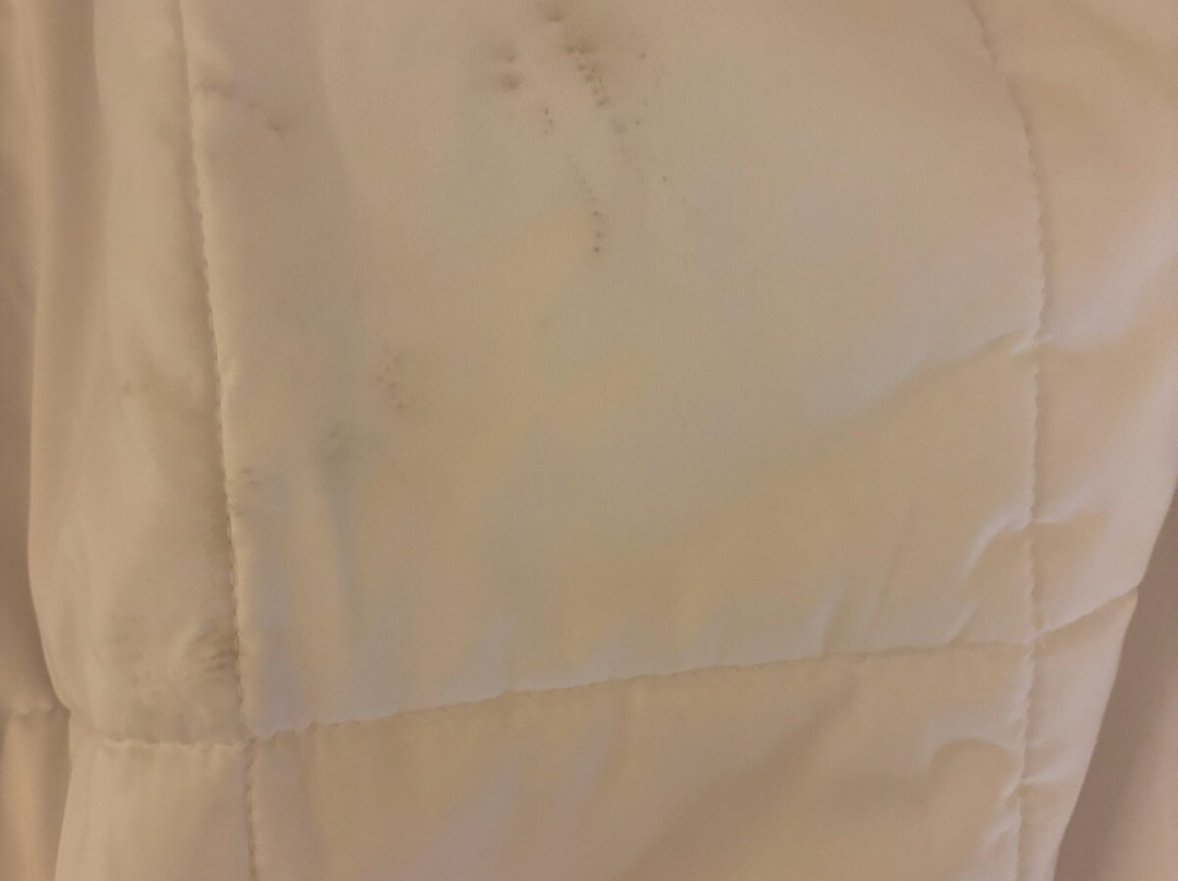 罗阿诺克拉匹兹希尔顿恒庭酒店主图