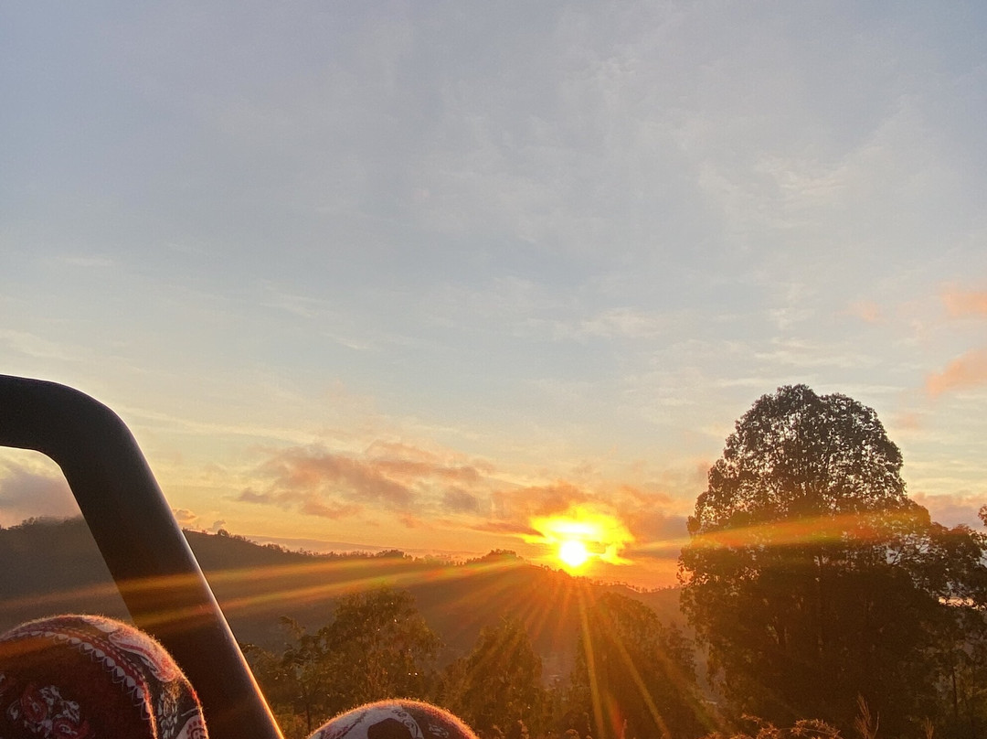 Bali Travelo - Day Tours-登巴萨必去景点