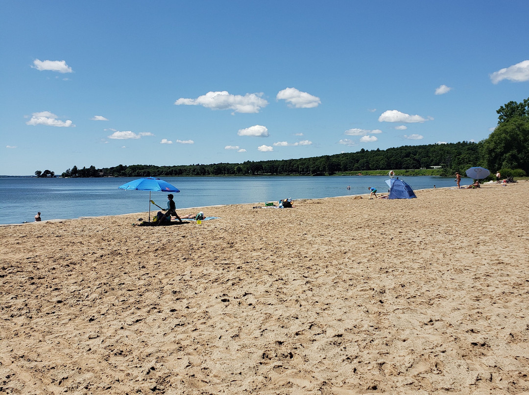 Brown’s Bay Day Park景点图片