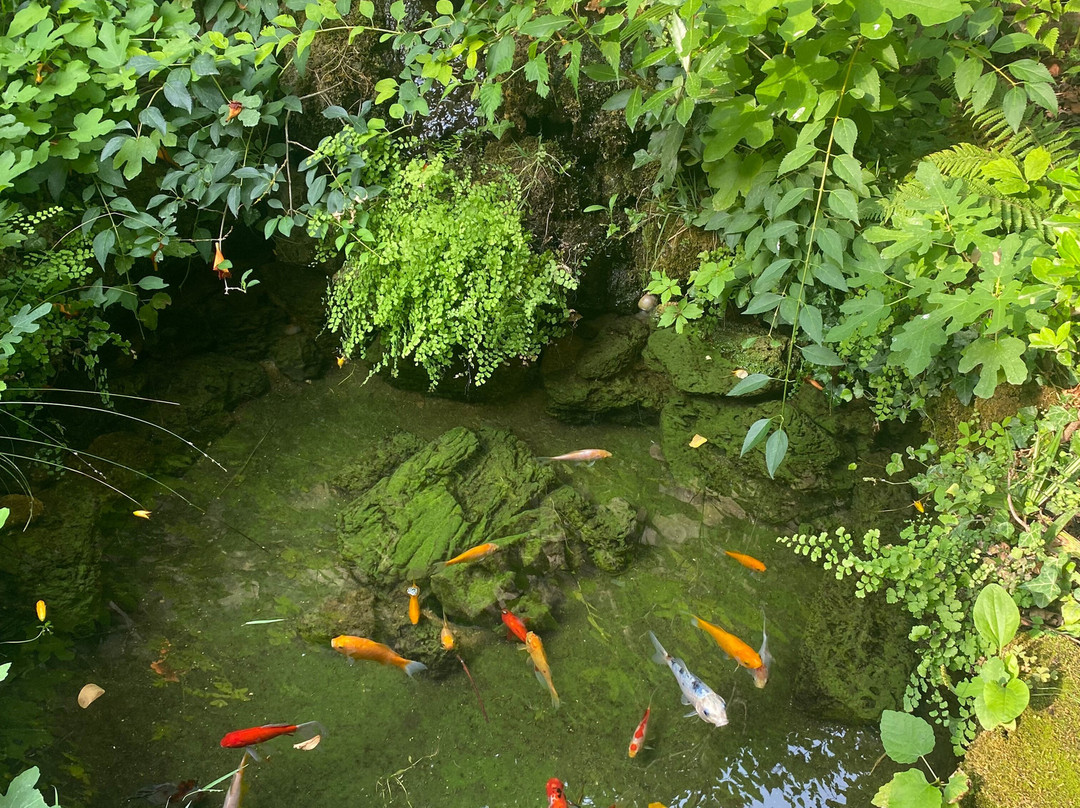 Wine Garden-斯克拉丁必去景点