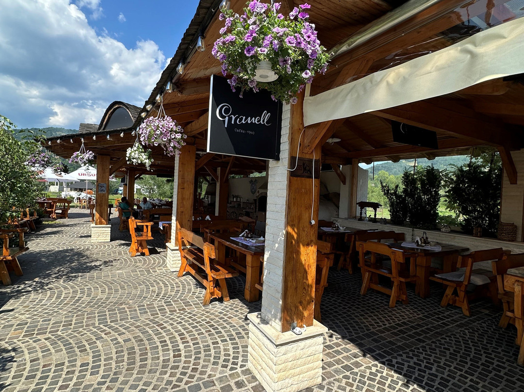 Dacii Liberi Resort & SPA主图