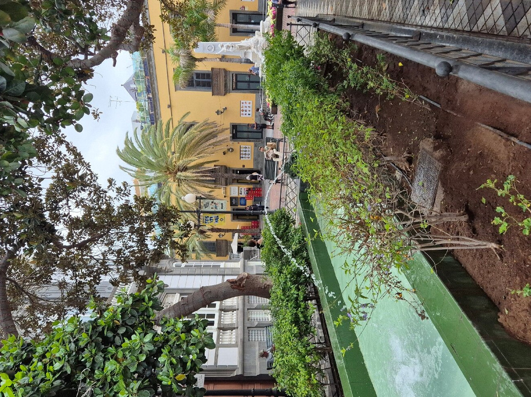 Plaza Hurtado de Mendoza-大加那利岛拉斯帕尔马斯必去景点