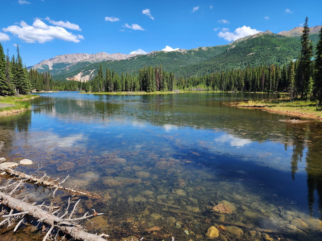 Horseshoe Lake Trail景点图片