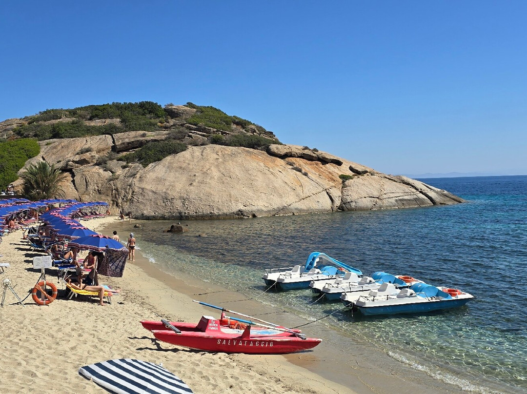 Spiaggia Arenella-Isola del Giglio必去景点