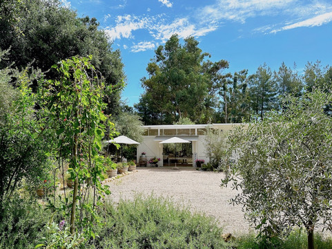 Olive + Lavender Farms