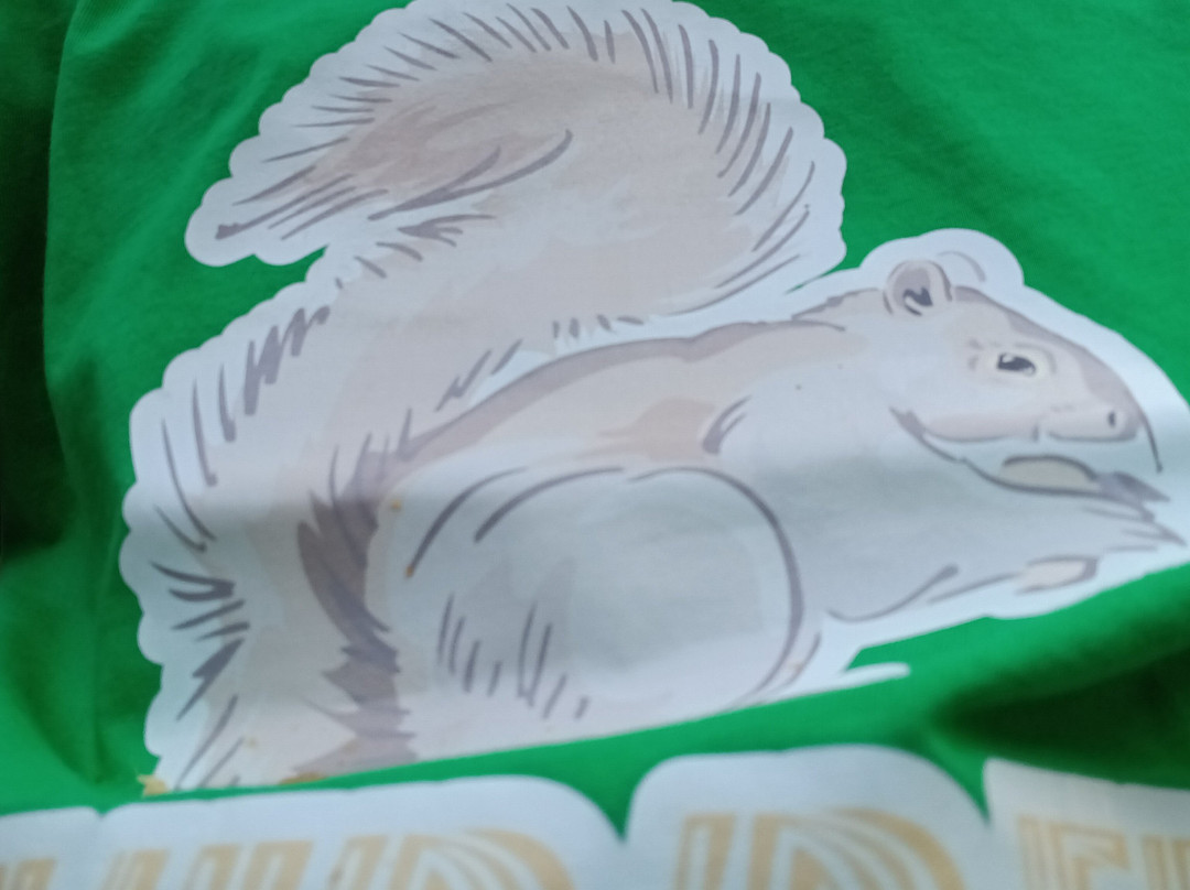 Squirrels Park景点图片