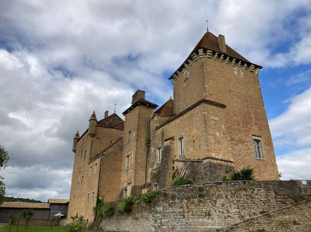 Château historique de Pierreclos景点图片