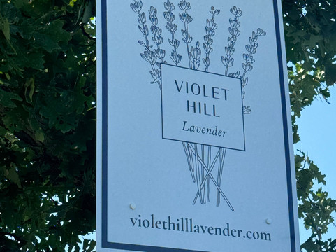 Violet Hill Lavender Farm-皮克顿必去景点
