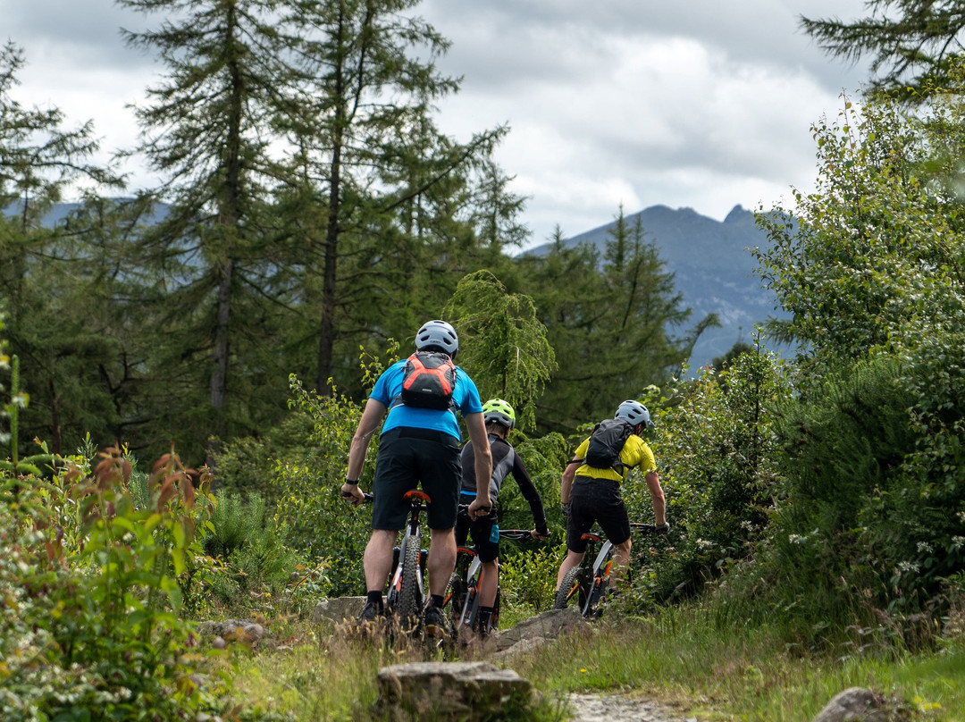 Castlewellan Mountain Bike Trails景点图片