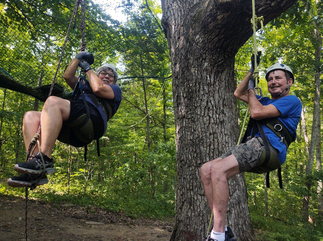EarthJoy TreeHouse Adventures-Brooksville必去景点