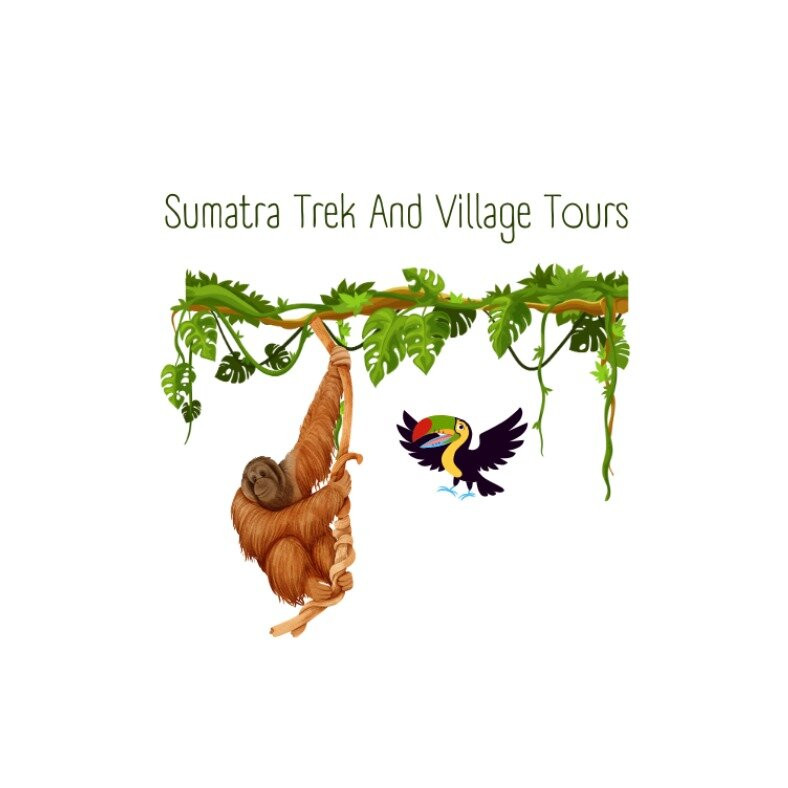 Sumatra trek and village tours-武吉拉旺必去景点