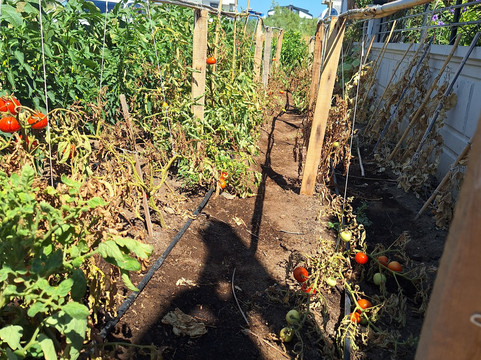 ReynaBe Boutique Hotel