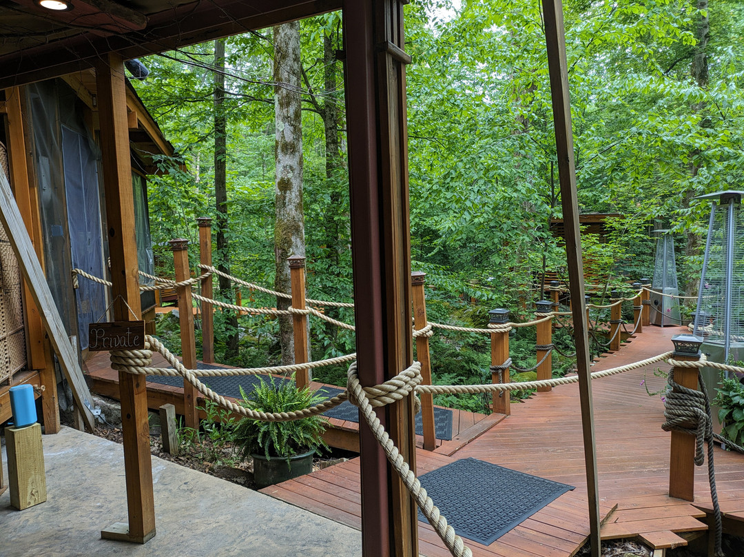 Polymath Park景点图片