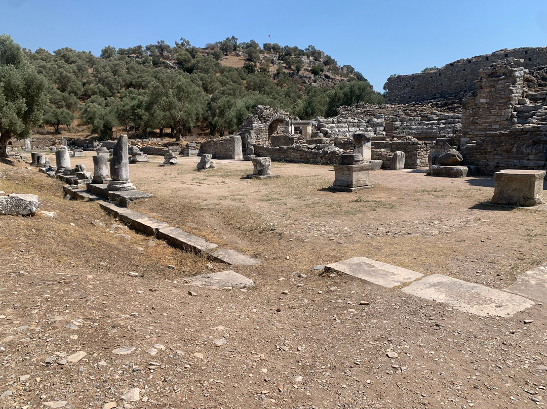 Iasos Antik Kenti景点图片