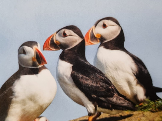 Visit Torshavn-托沙文必去景点