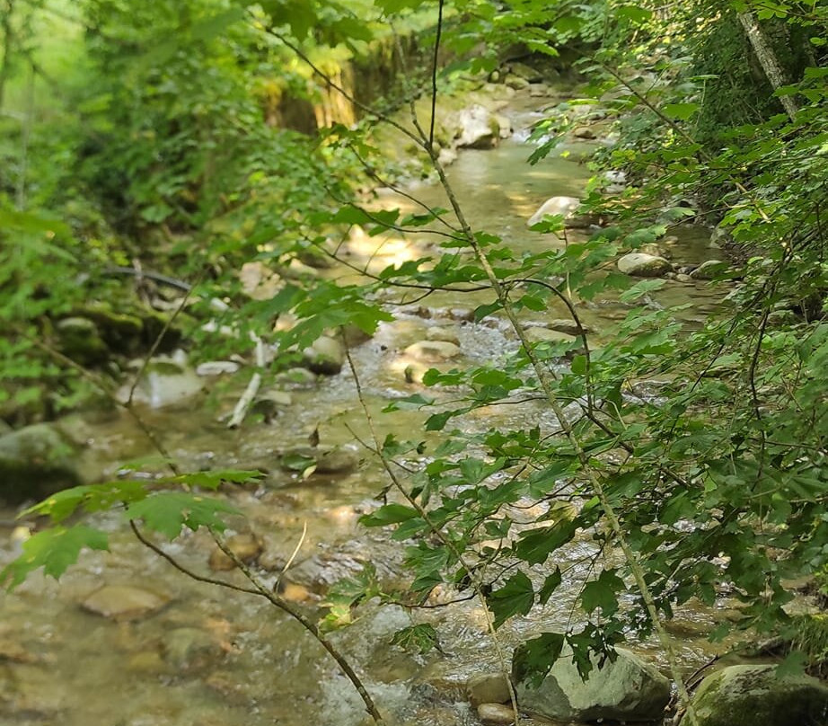 Le Sentier Des Toblerones-Bassins必去景点