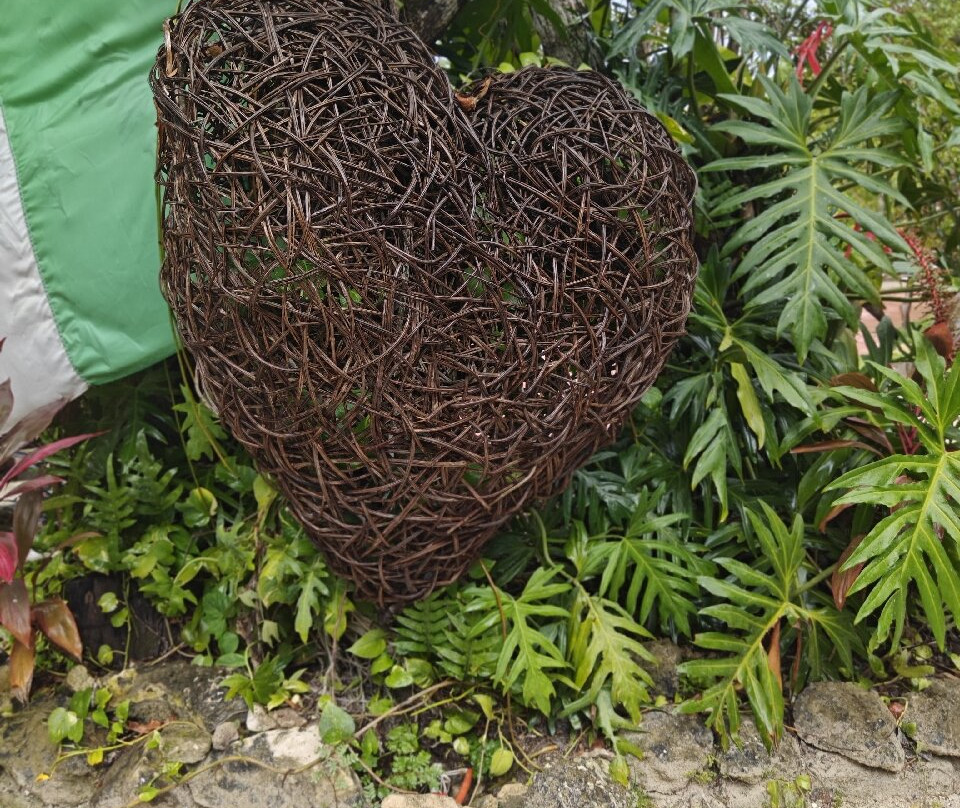 Cenote Sol y Luna.-从莫雷洛斯港必去景点