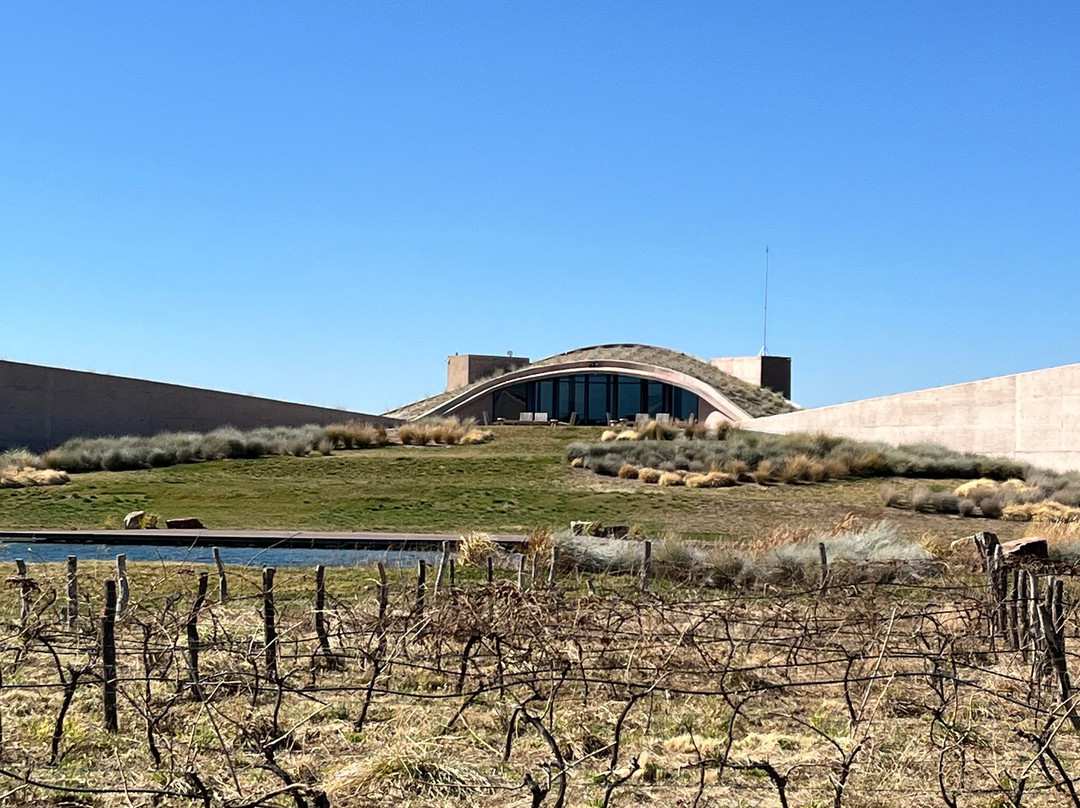 Bodega Alpamanta-路冉得库约必去景点