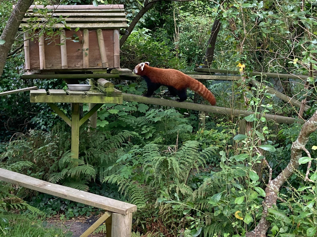 Curraghs Wildlife Park-Ballaugh必去景点