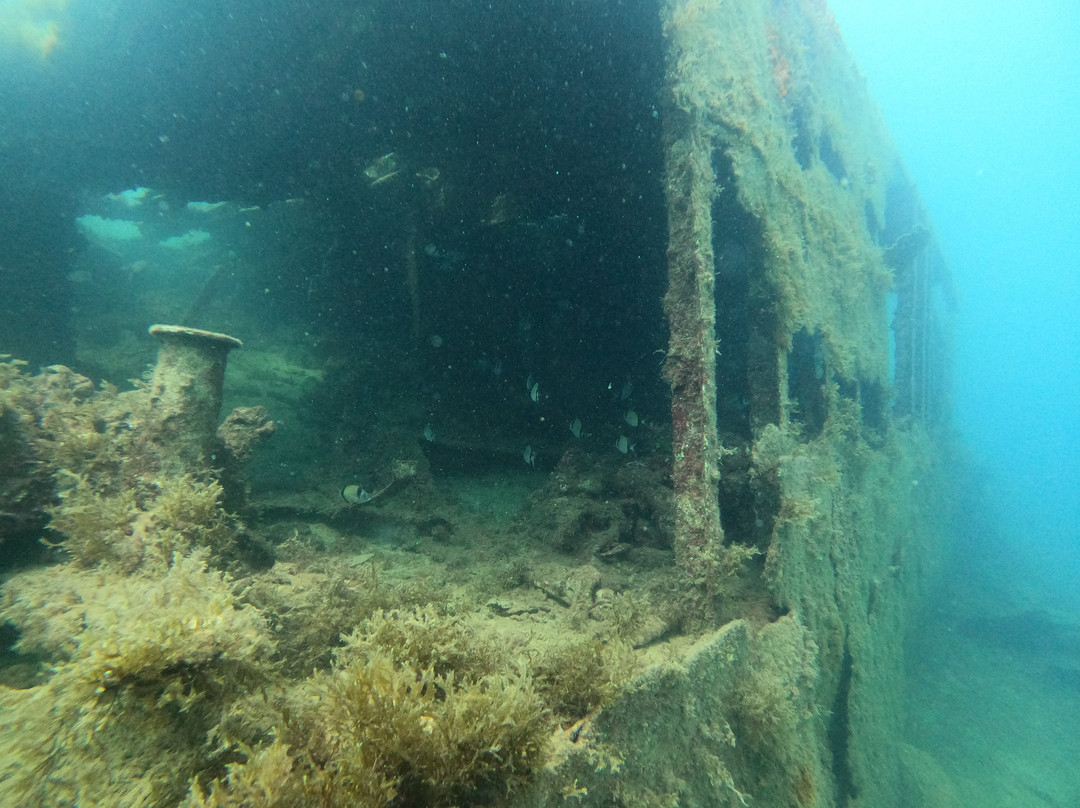 Divemed-Marsascala必去景点