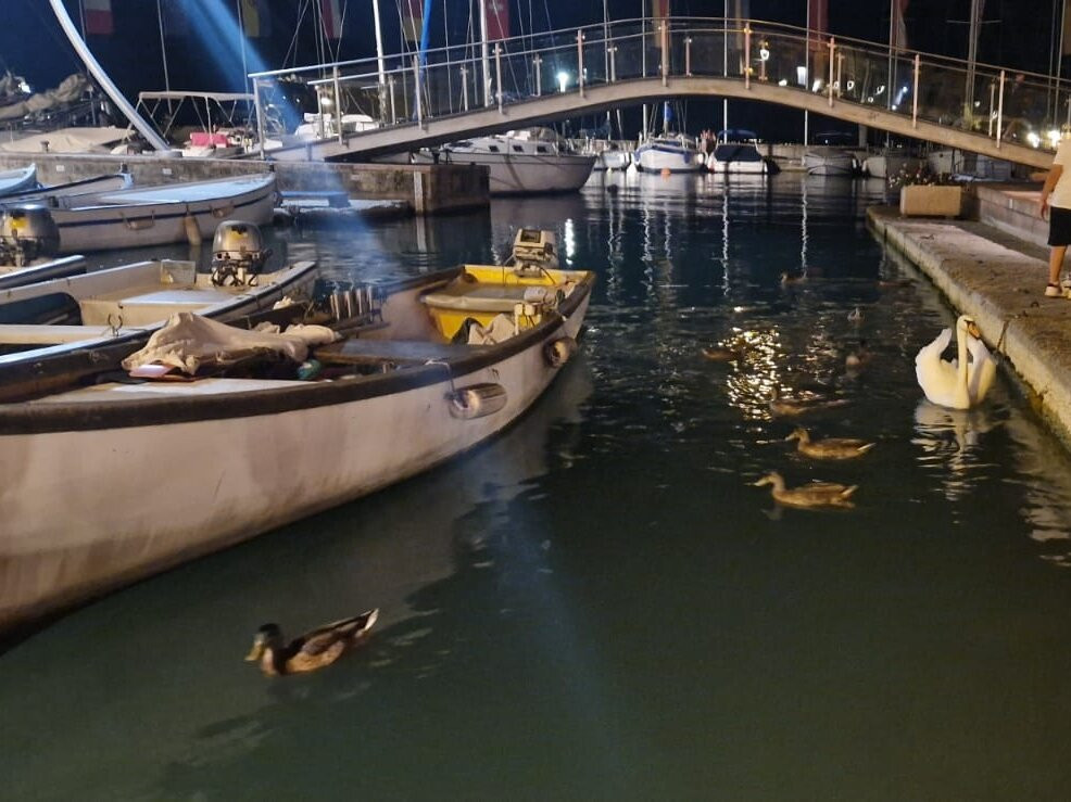 Lungolago di Bardolino景点图片