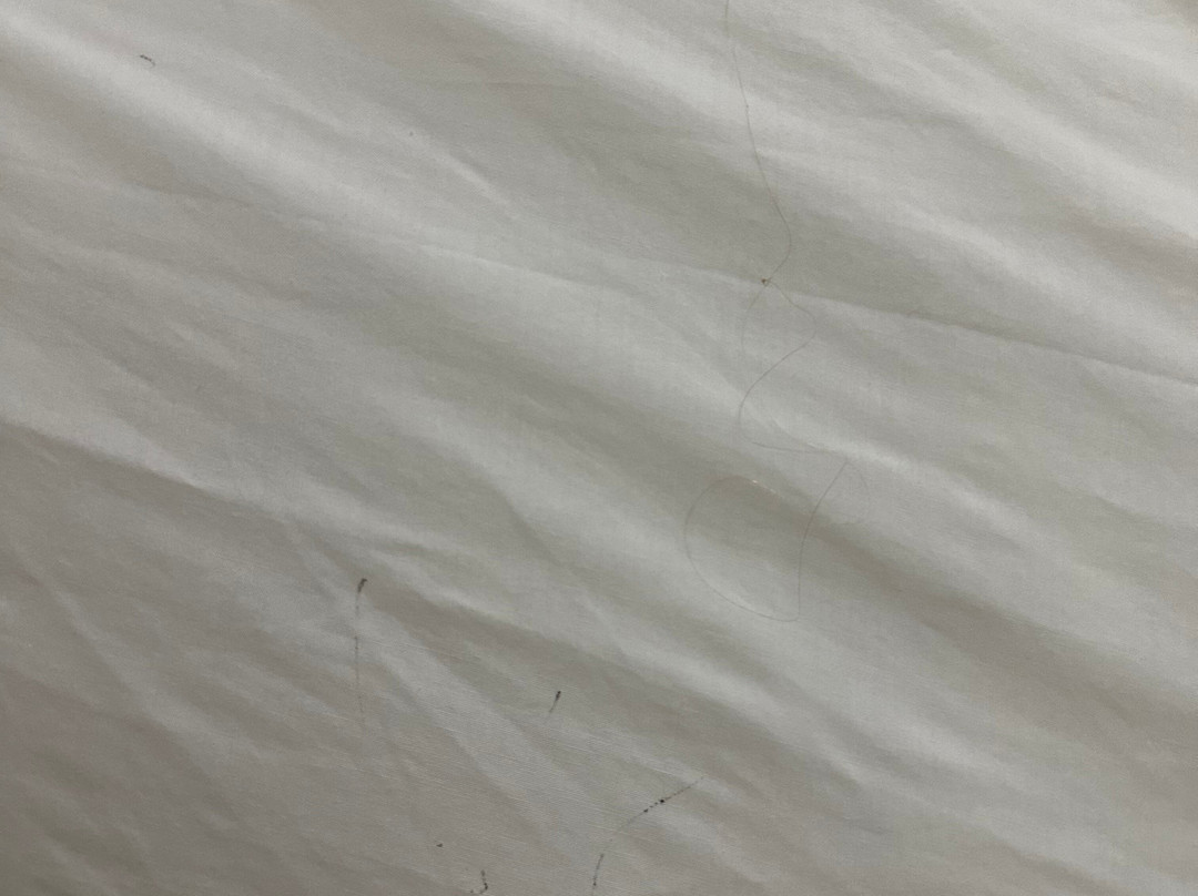 Hampton Inn Holland主图