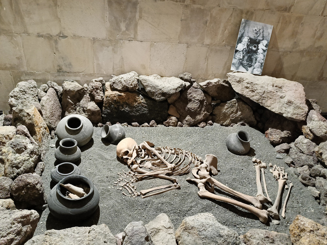 Metsamor Historical-Archeological Museum-Reserve