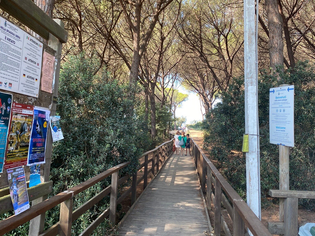 Puntone Beach-斯卡尔利诺必去景点