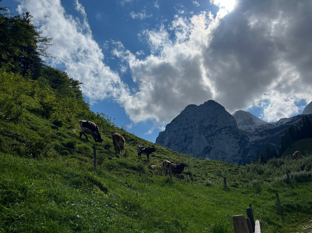 Halsalm-拉姆绍必去景点