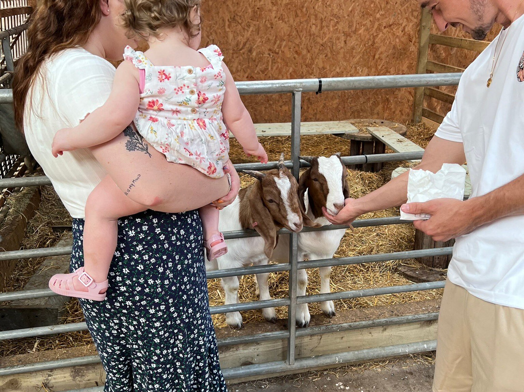 Church Farm Tearooms and Children’s Farm Anslow景点图片