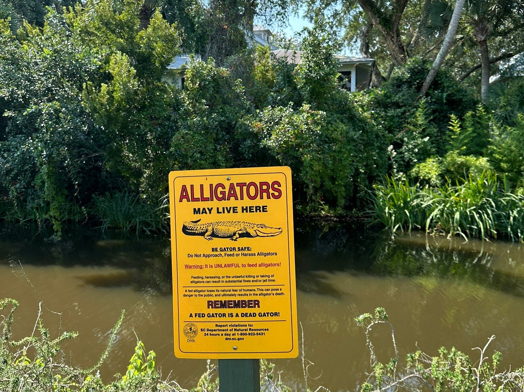 Isle of Palms Beach-棕榈岛必去景点