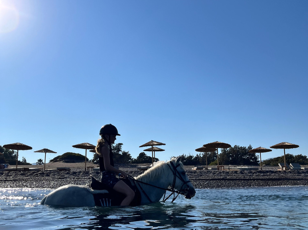 Rocking Horse Ranch景点图片
