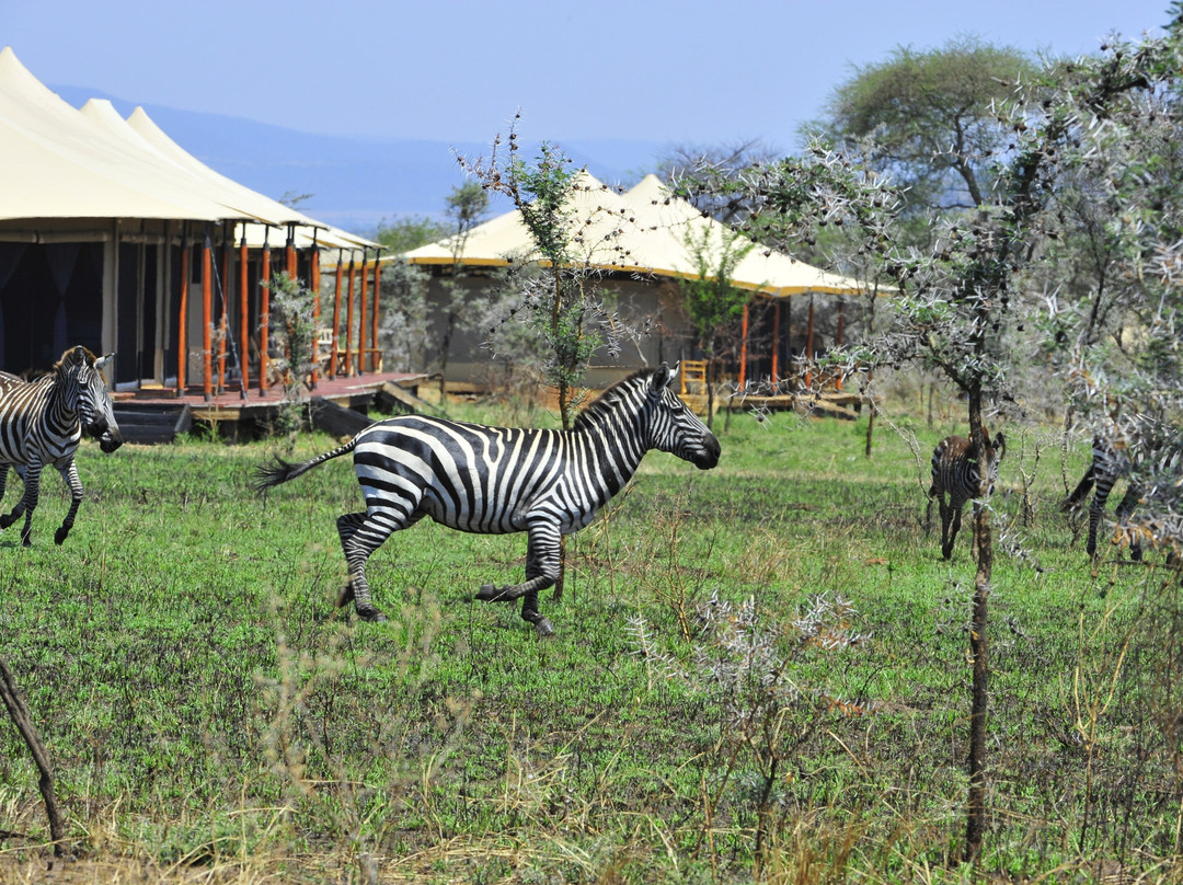 Glimpse of Africa Tented Camp