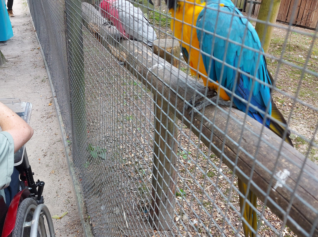 Zoo Veldhoven景点图片