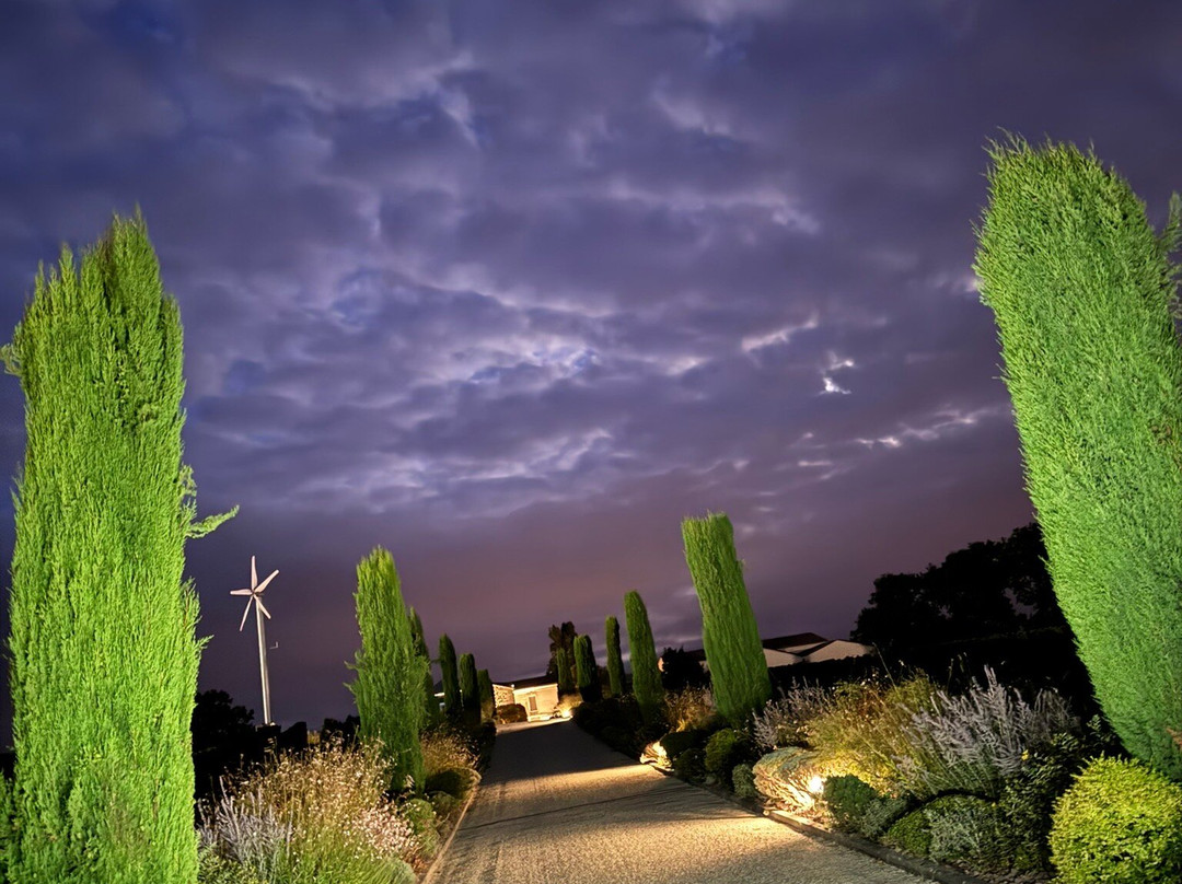 皮埃尔玫瑰住宿加早餐旅馆主图