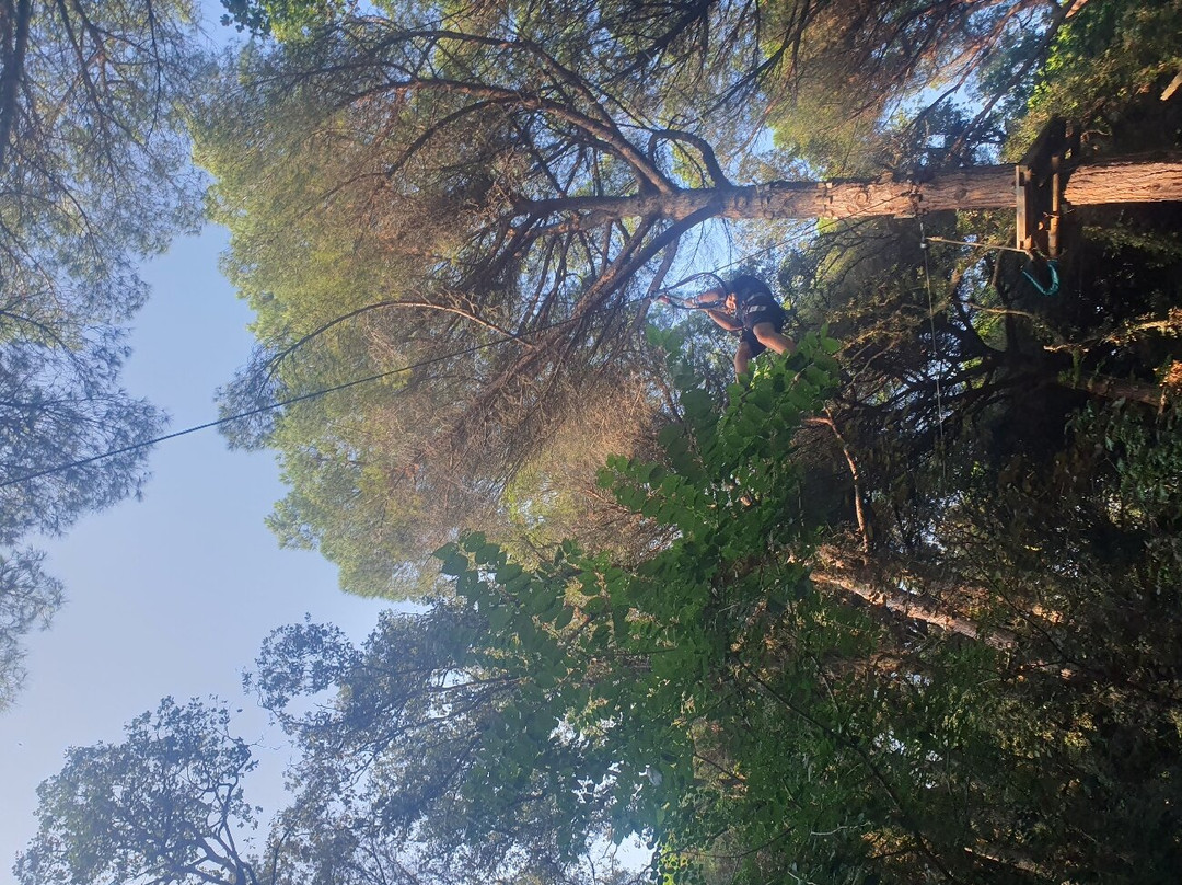 Costa Brava Parc Aventura-普拉特哈达罗必去景点