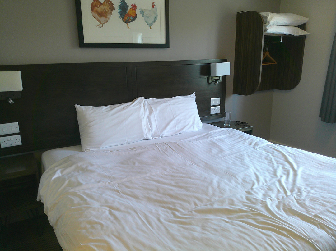 Starling Cloud by Marston's Inns主图