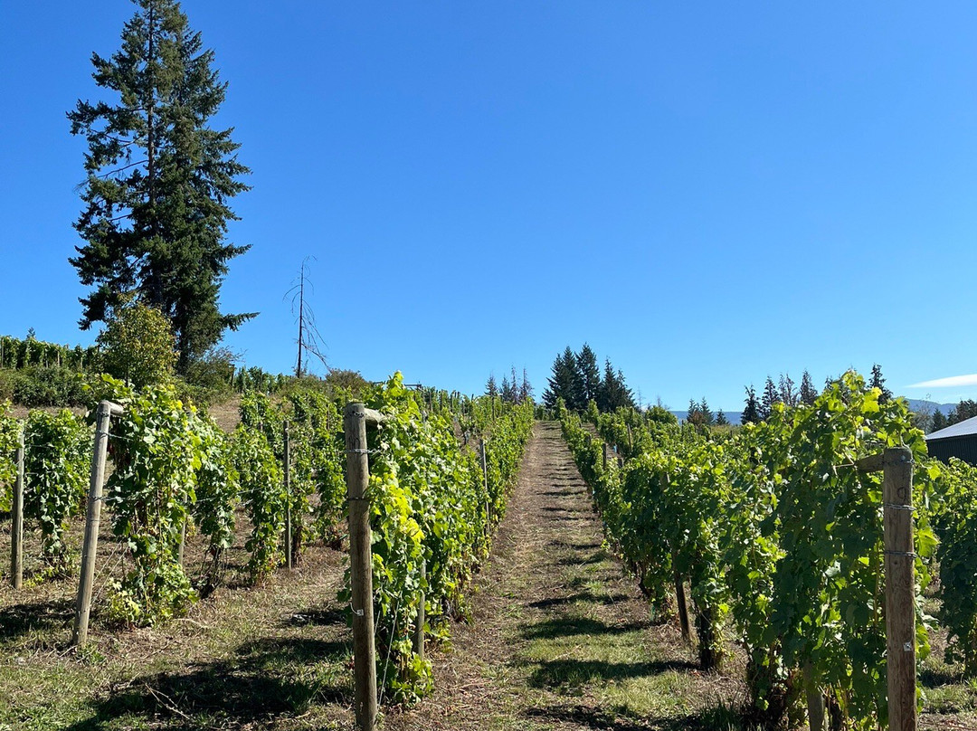 Larch Hills Winery景点图片