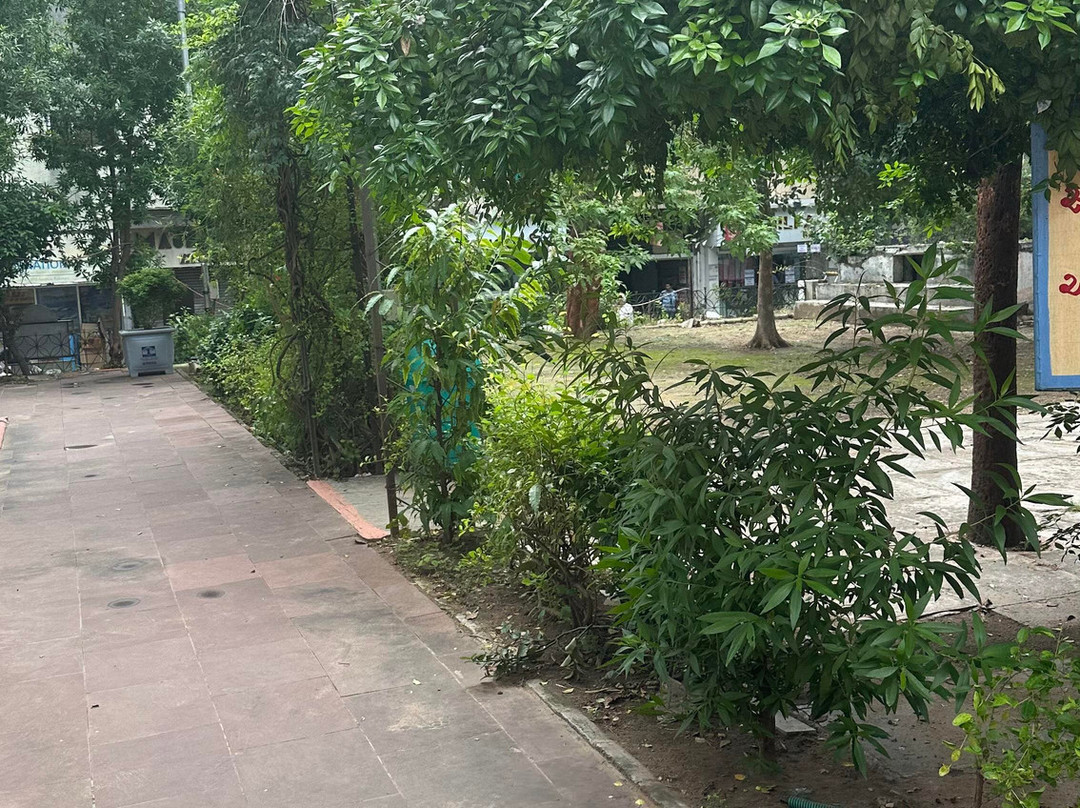 Surya Mandir景点图片